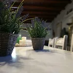 Villa Sun House Pisses