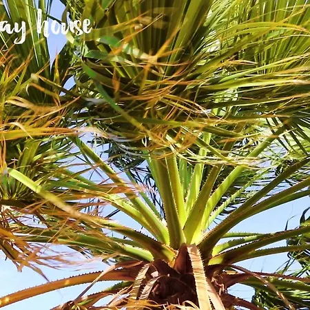 Sun House فيلة